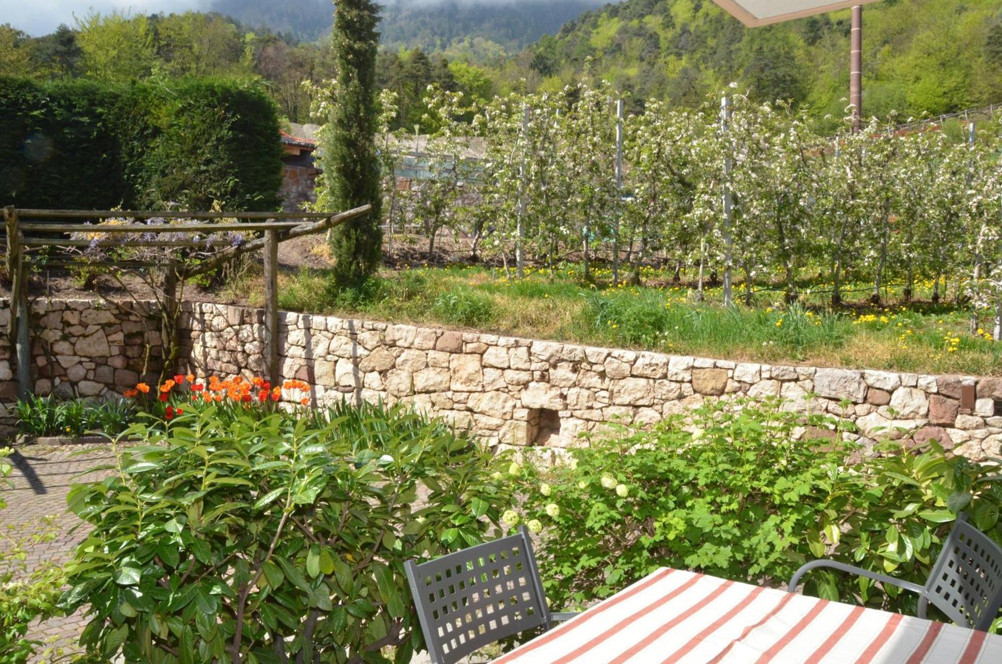 Schloss-Hof أبيانو سولاّ ستراذا المظهر الخارجي الصورة